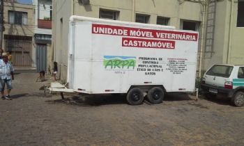 Sessenta cães e gatos são esterilizados no Castramóvel em dois dias