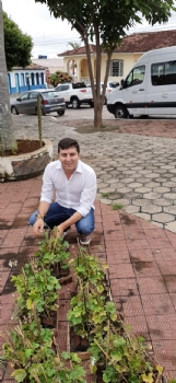 Praça da Igreja Matriz recebe novas mudas de plantas