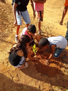 Crianças do projeto Família CRAS realizam plantio de mudas