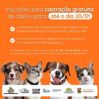 Inscrições para castração gratuita de cães e gatos está aberta até dia 20; saiba como fazer