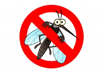 Prefeitura realiza mutirão de limpeza contra a dengue em Marilândia